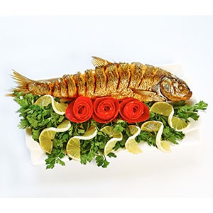 Kutum fish